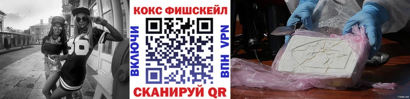 Купить  Белая Холуница  Cocaine FishScale 