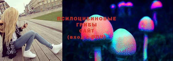 синтетический гашиш Коряжма