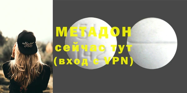 прущие грибы Кодинск