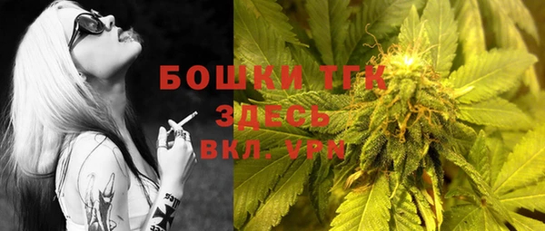 прущие грибы Кодинск