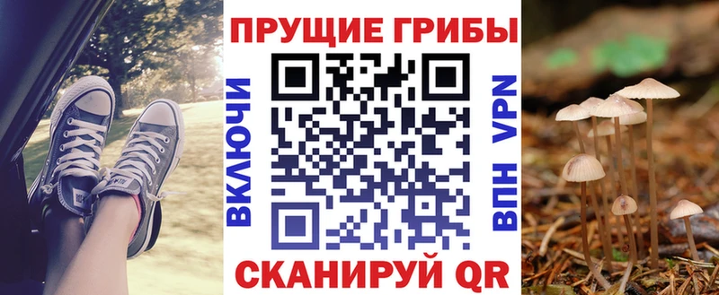 Купить  Белая Холуница  Псилоцибиновые грибы MAGIC MUSHROOMS 